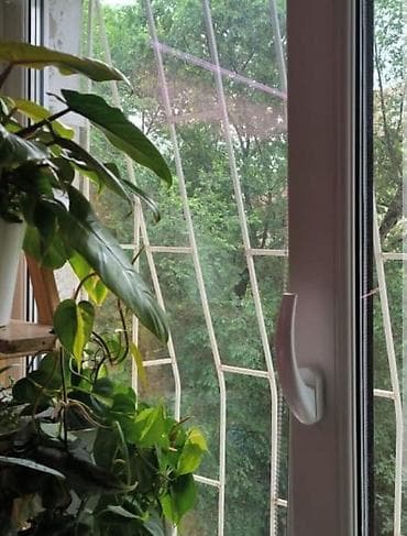 Недвижимость: 2 комнаты, 35 м², Политех Хрущевка, 4 этаж, Свежий ремонт — 6