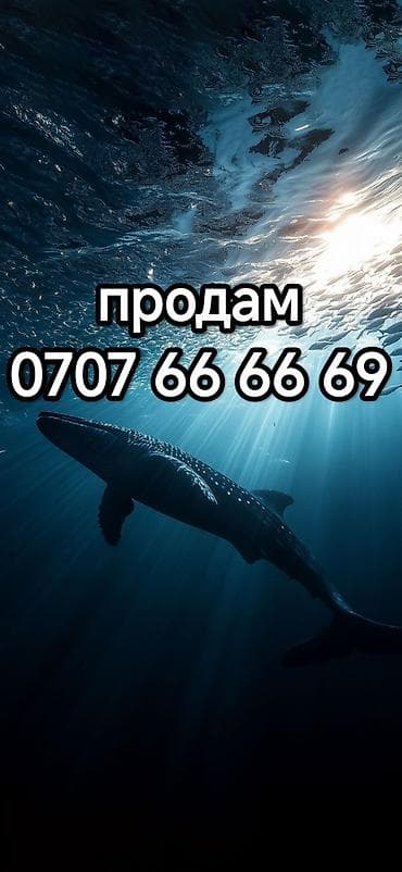 sim karta: Сим карта О! 0707 66 66 69 — 1