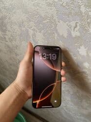 телефон 16 про макс: IPhone 16 Pro Max, 256 ГБ, Natural Titanium, Чехол, 95 % — 2