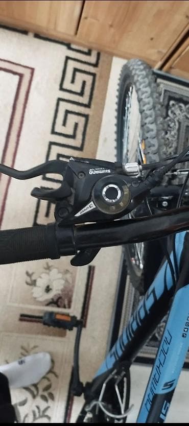 stern: Горный велосипед, Stern, Рама M (156 - 178 см), Сталь — 6