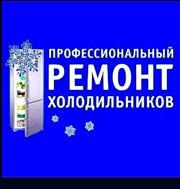type s: РЕМОНТ ХОЛОДИЛЬНИКОВ. Выезд мастера по городу. Опыт. Гарантия — 1