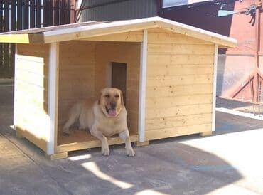 домик для собаки уличный: Домик для собак Будка для собак. вальер для собак. У нас всегда в — 17