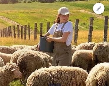 пш метр: Ищем рабочего для роботы кормления баранов платим 50к есть жилье для — 2
