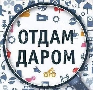 отдам даром дания: Отдам даром нуждающимся женские вещи в размере с-м. Куртка на весну — 1