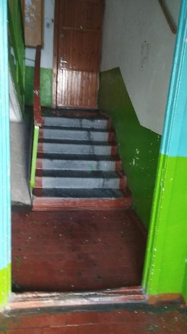 дорожку: Уборка территории, Уборка двора и сада — 2