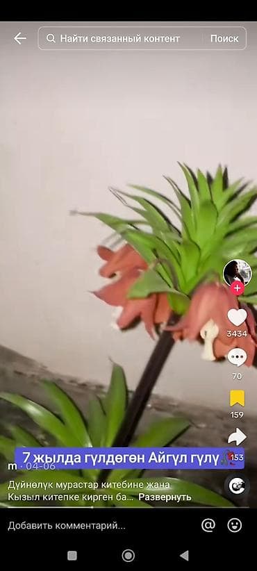 Куплю участок для 3га орошаемая пашня земли. Жер сатып Алам айыл чарба