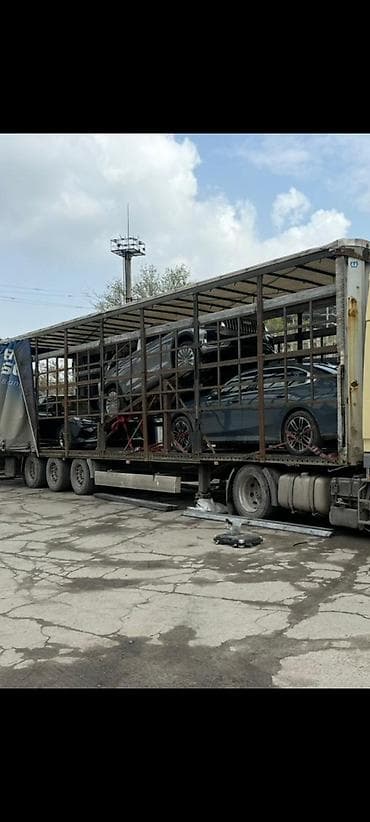 step spada: Прицеп, Новый — 3