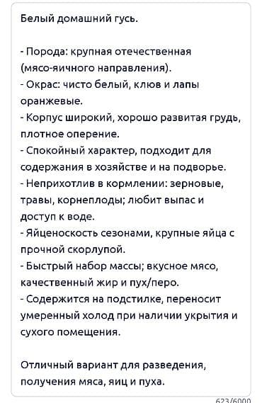 помет голубиный: Представляем домашнего гуся крупной отечественной породы мясо-яичного — 2
