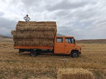 Грузовик, Mercedes-Benz, Дубль, 5 т, Б/у