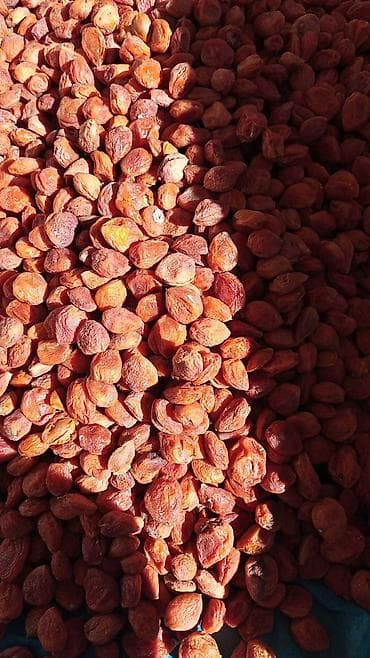 мясо продажа: Курага (вяленый абрикос с костоской) - Натуральная курага — 1