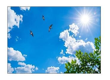 газовая пушка для натяжных потолков: Натяжной потолок Глянцевое Монтаж — 4