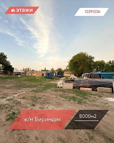 80 соток