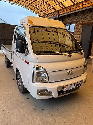 es 250: Легкий грузовик, Hyundai, Стандарт, Новый — 7