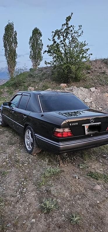 Mercedes-Benz W124: 1993 г., 2.2 л, Кол менен иштөөчү, Бензин, Седан — 6