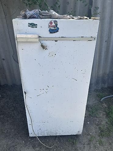 s 63: Стиральная машина Bosch Maxx + холодильник Бирюса-10 - Стиральная — 4