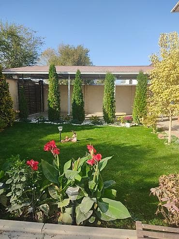 LED гирляндалар: Услуги садовника,уборка территории,с современной техникой,косим — 6