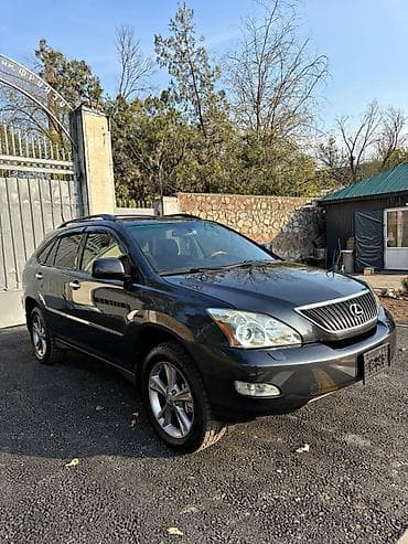 low ll: Lexus RX: 2004 г., 3.3 л, Автомат, Бензин, Кроссовер — 4