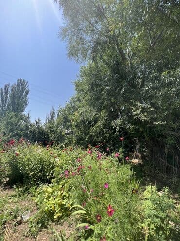 новопавловка продажа домов: Дом, 44 м², 3 комнаты, Риэлтор, Косметический ремонт — 9