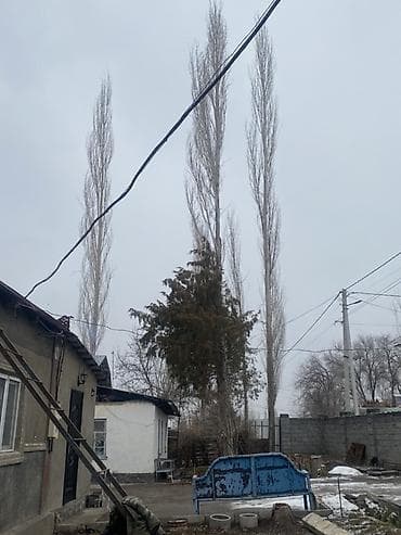 софиты свет: Терек сатылат келишим баа — 1