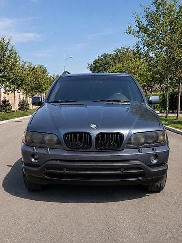 gepard max e9: BMW X5: 2002 г., Автомат, Кроссовер — 1