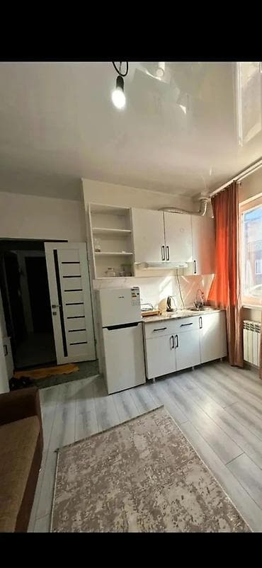 Студия, Риэлтор, Без подселения, С мебелью полностью