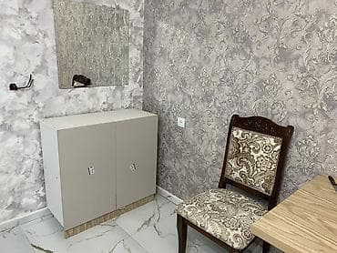 1 бөлмө, Менчик ээси, Жарым -жартылай эмереги бар