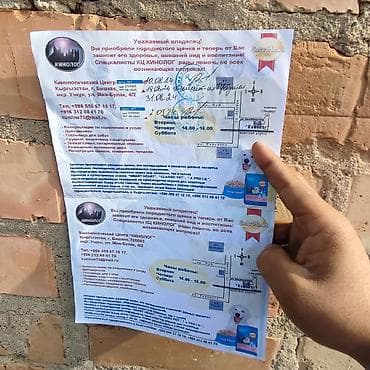 хаски маламут: Кавказская овчарка с документами - Порода: кавказская овчарка — 5