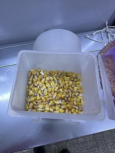 чёрный ящик: Кормушка для голубей Автоматическая — 4