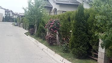Другие услуги