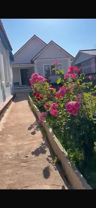 ярина бишкек: 🏡 Сдается уютный дом на южном берегу Иссык-Куля село Каджи Сай ! — 10