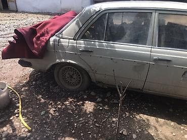Транспорт: Mercedes-Benz W123: 1982 г., Кол менен иштөөчү, Седан — 2