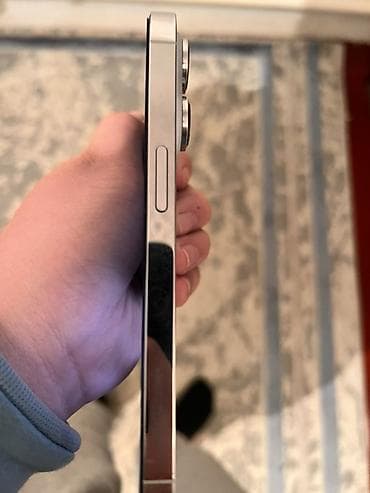 phone 6s: IPhone 14 Pro, Б/у, 128 ГБ, Серебристый, Чехол, 79 % — 4