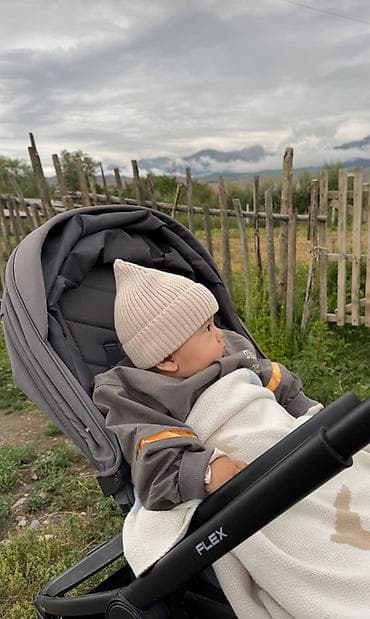 Коляски: Детская коляска Rant Flex 2025 (графитовый цвет) - Формат 2 в 1 — 3