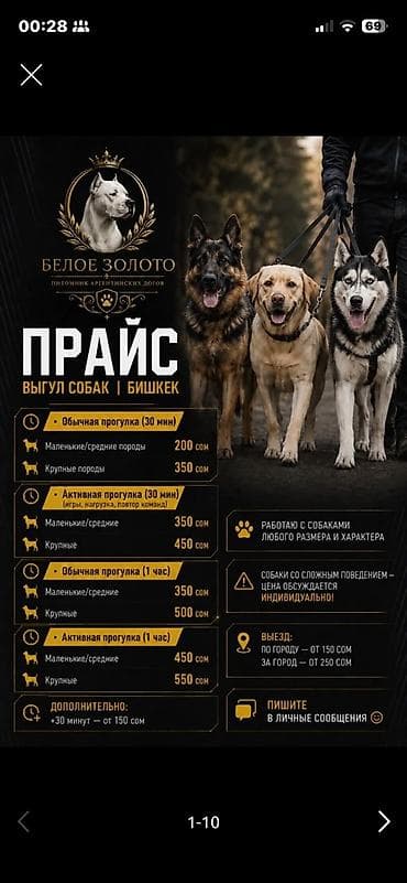 аргентинский док: Выгуливаю собак все по 350 сомов выгул 1 час мне 14 лет есть опыт — 1