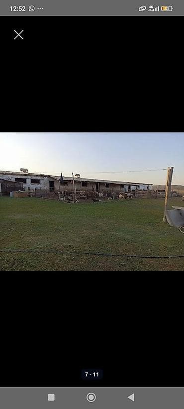 участка сатылат: 10 соток, Айыл чарба үчүн, Кызыл китеп, Техпаспорт — 9