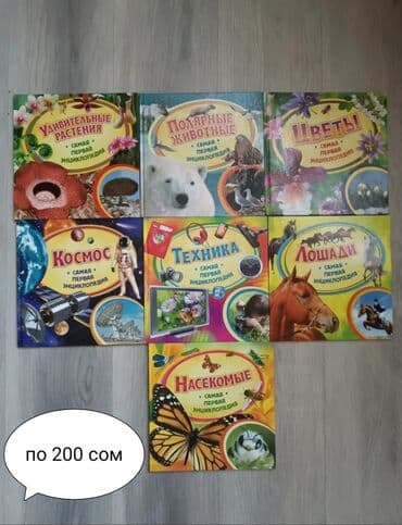 купить книгу кладбище домашних животных: Продаю книги для детей и подростков — 6