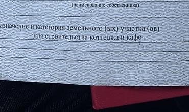 комнаты в чолпон ате: 10 соток, Для бизнеса, Красная книга — 2