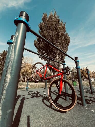 fixed gear купить бу: Шаардык велосипед, Велосипед алкагы M (156 - 178 см), Колдонулган — 1