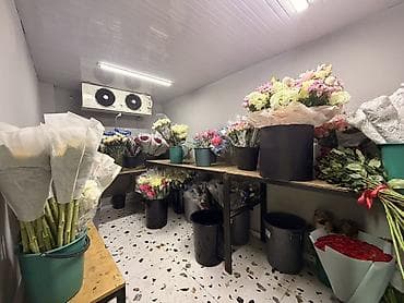 боконбаево: Продажа магазинов В жилом доме, 83 м², Свежий ремонт, Отдельный вход, 1 этаж — 4