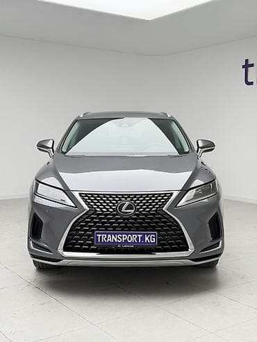 cruiser: Lexus RX: 2020 г., Гибрид, Кроссовер — 1