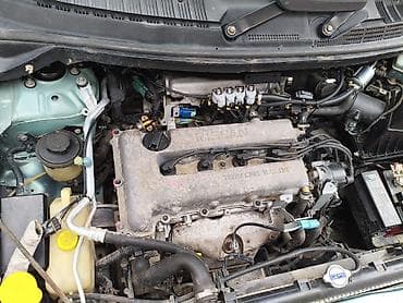 step wgn: Nissan Tino: 2001 г., 1.8 л, Автомат, Газ, Минивэн — 9