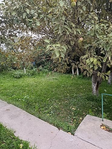 продом дом: Навес/веранда у дома - Просторный навес на опорах, примыкает к стене — 8