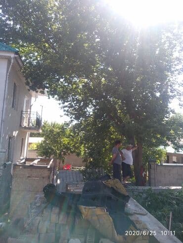 официант в ночную смену: Спил деревьев!! Любой сложности!! — 14