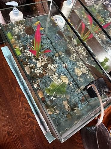 аква трейд: Аквариумный комплект для домашних рыб - Стеклянный аквариум — 1