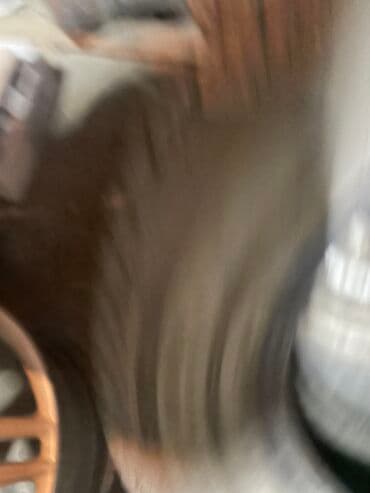 купить шины в бишкеке бу: Шины 265 / 65 / R 17, Зима, Б/у, 1 шт, Внедорожные (АТ/МТ), Таиланд, GoodYear — 3