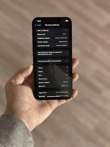 galaxy fold: IPhone 12 Pro Max, Б/у, 256 ГБ, Графит, 77 % — 2