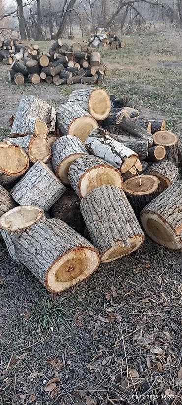 посуды оптом: Дрова Карагач, Самовывоз — 2