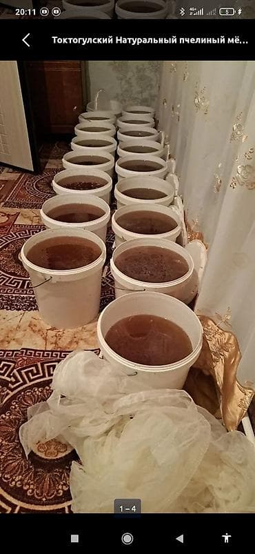 пчеловодство: Токтогульский натуральный горный мёд Кг по 400с Доставка по городу — 1