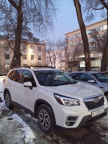 купить багажник на крышу авто в бишкеке: Прокат авто караколе круглосуточно свыше 2017 года все машины — 8