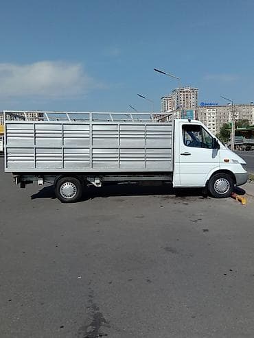 каланхоэ бишкек: Буйрутма берүү Мерседес Гигант, Көмүр, кум, шагыл, кара топурак жеткирүү, ылгоо, Үстү артка ачылма кузову менен (өзү төкмө) — 2